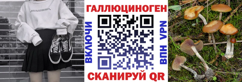 где найти   Ак-Довурак  Галлюциногенные грибы ЛСД 